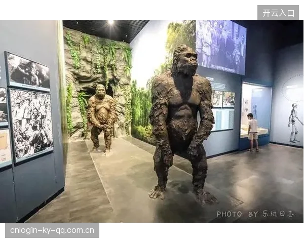 《丁文一五轮加洞》：从“洞穴”到“加洞”的智慧之旅——如何在复杂世界中找到突破点